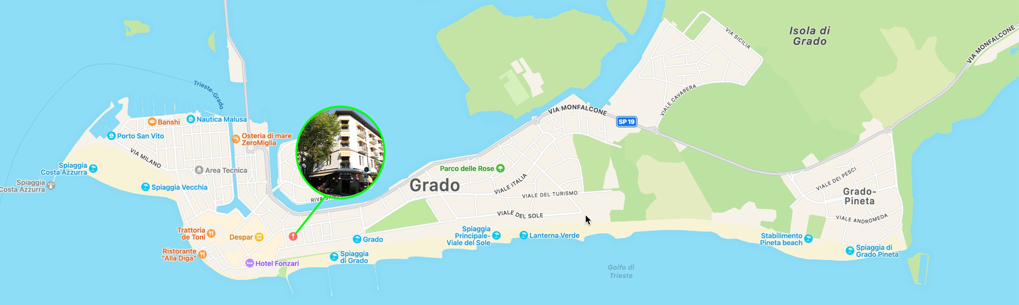 Plan de Grado